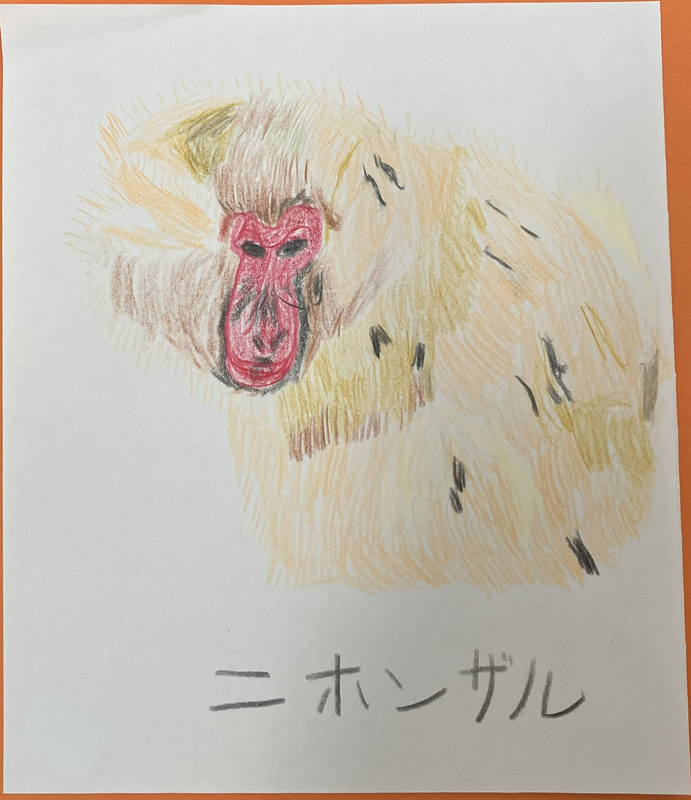 ニホンザル