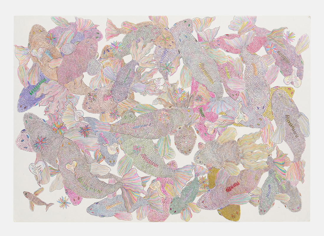 なかよくおよぐ魚たち