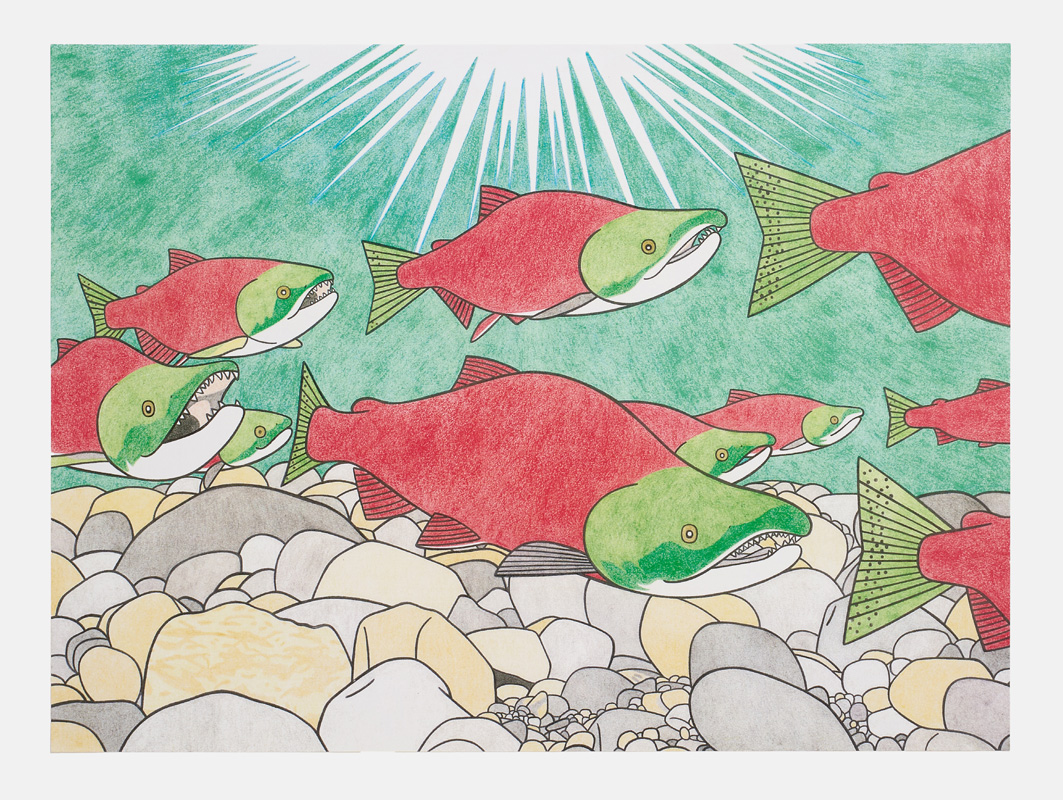 カナダ・フレーザー川のベニザケ