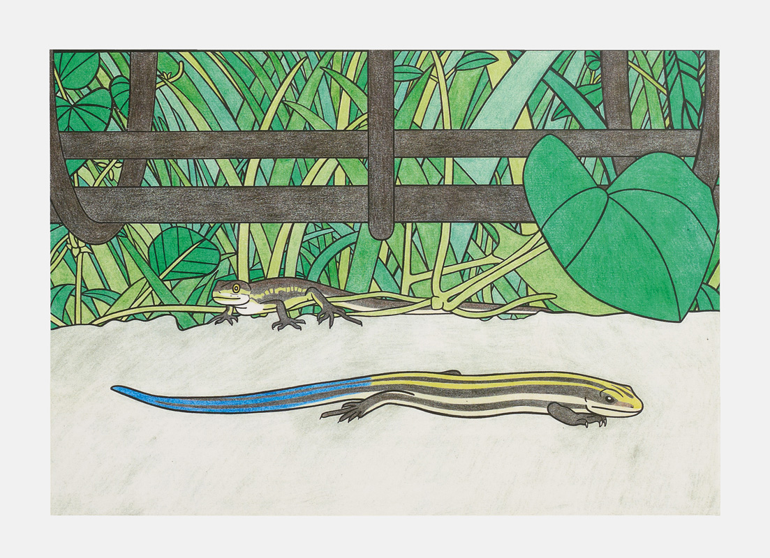 玉川上水のニホントカゲとニホンカナヘビ